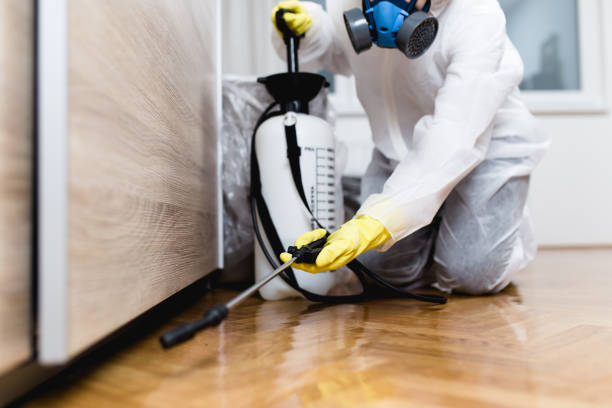 Best Fumigation Services  in Northlakes, NC